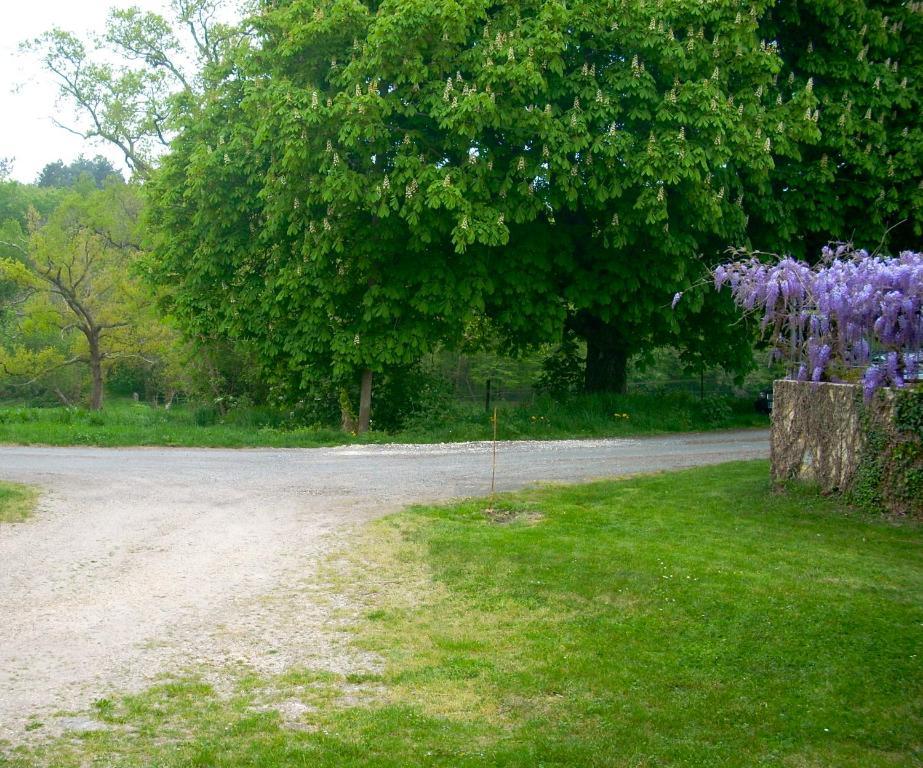 Sous Les Marronniers Bed & Breakfast Petit-Palais-et-Cornemps Bagian luar foto